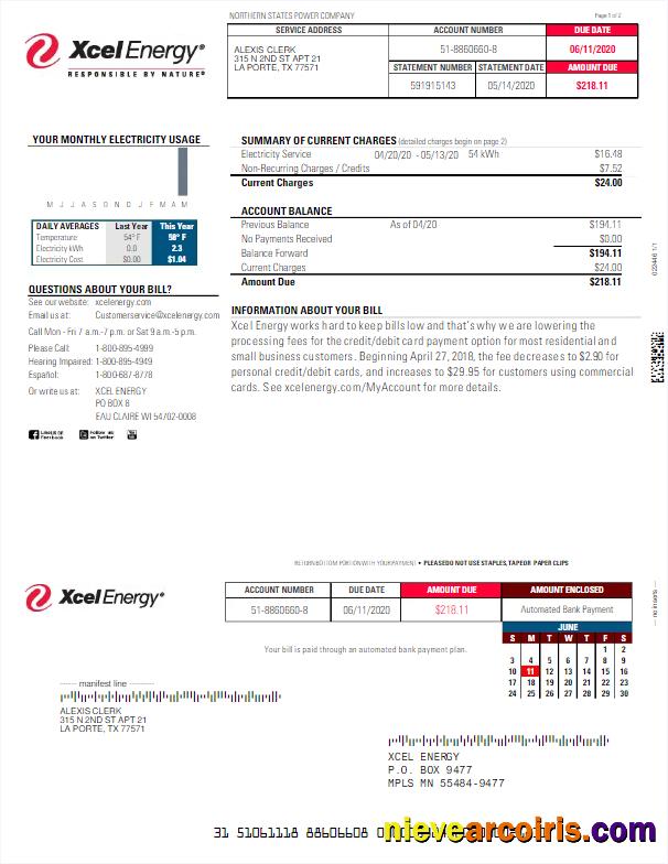 USA XCEL ENERGY utility bill